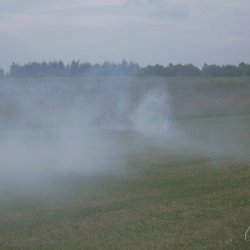 2013 Suche 29062013 Olivera